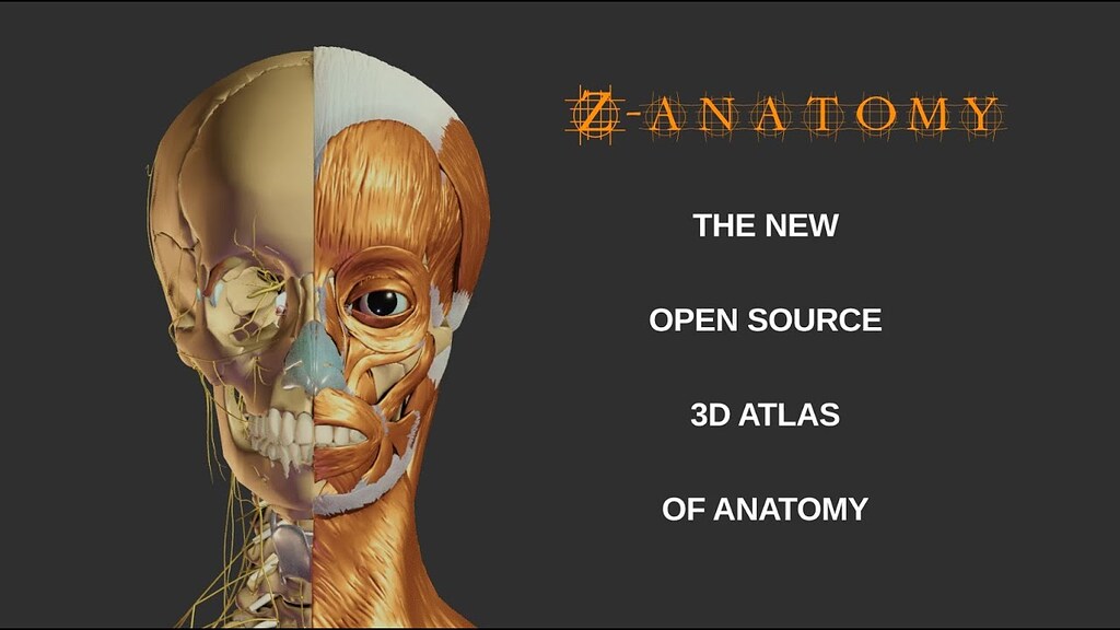 ヒト発生の3次元アトラス (3D Anatomy Project) | 塩田浩平 |本