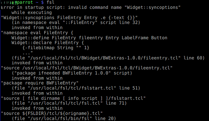 fsl_doesnt_start