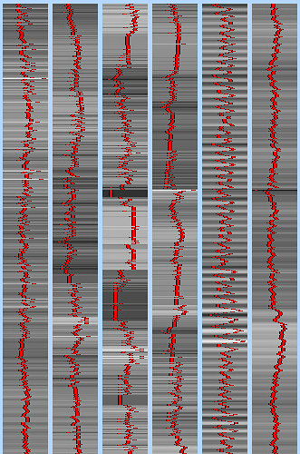 motion_params_fsl