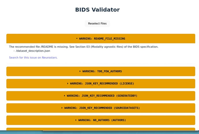 BIDS_Validator_error_2