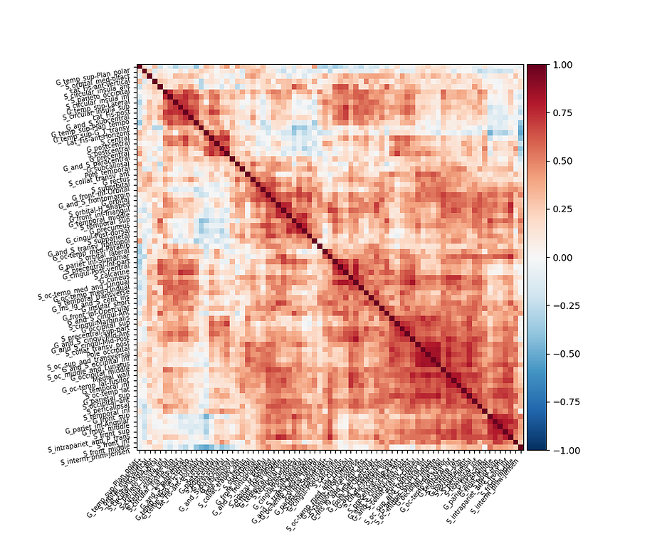 Surface-based fMRI and connectivity matrix - nilearn - Neurostars