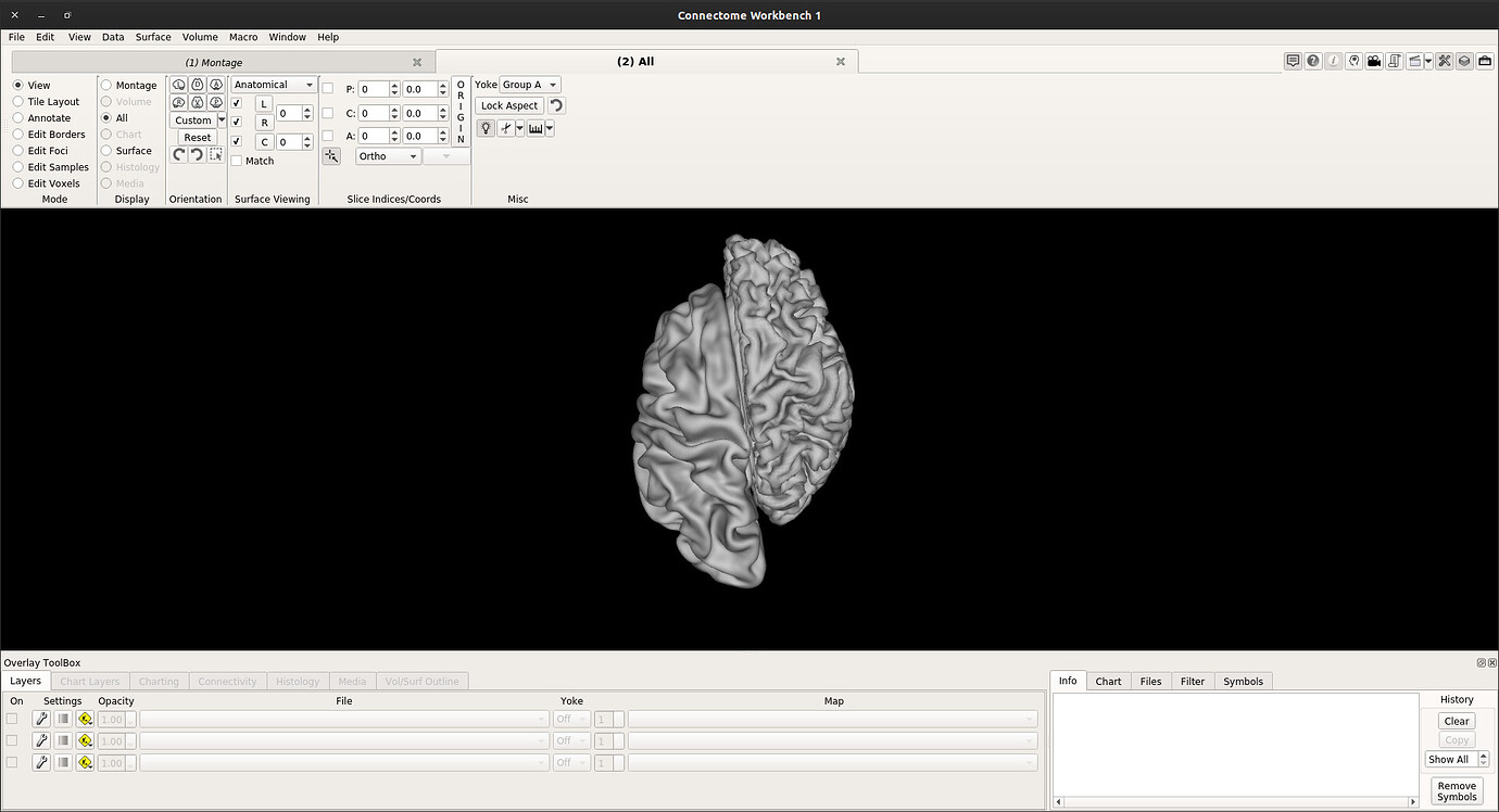 Fslr Module Trouble registering fmriprep output surfaces to fsLR space - Software ...