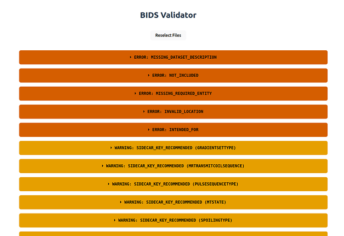 bids_validator_invetigators