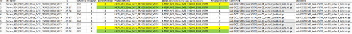 heudiconv_grouping_problem_3