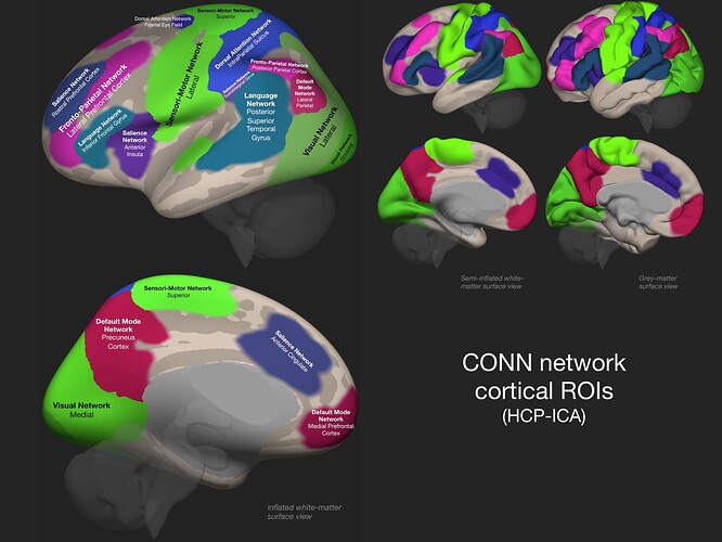 networks.descrip