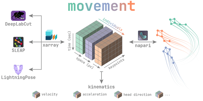 movement_overview