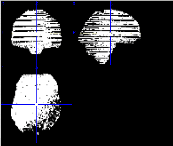 tedana-adaptive-mask