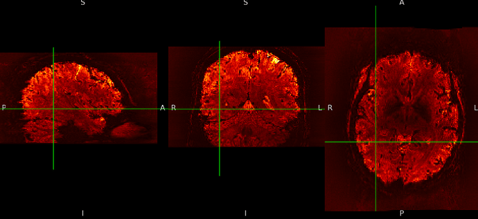 Screen Shot 2026-01-28 at 11.43.44 AM