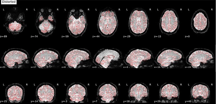 Screenshot 2026-01-19 at 11.32.38