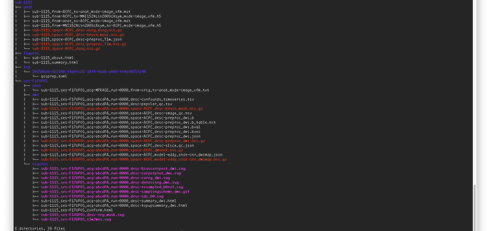 directory_tree_output_qsiprep