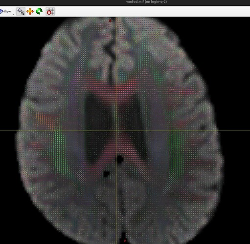 wmfod_example