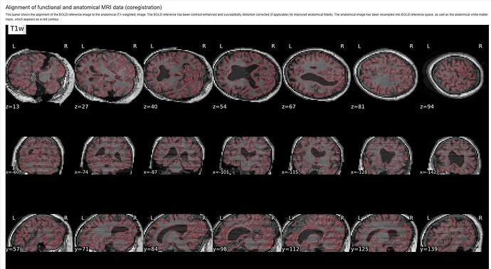 Captura de pantalla 2026-01-21 121721