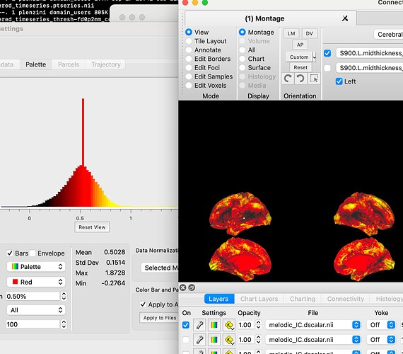 Screenshot 2026-02-19 at 13.29.03