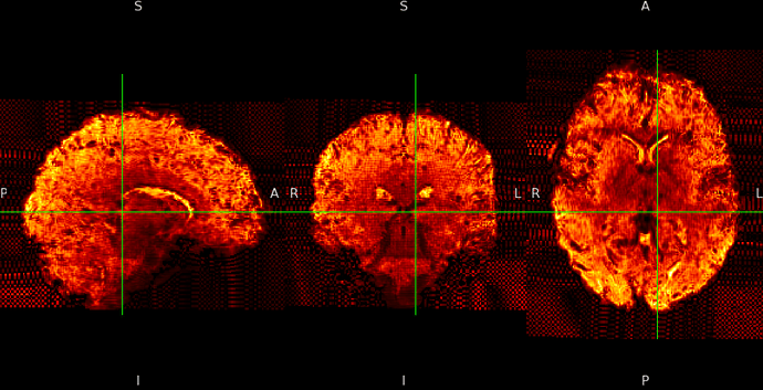 Screen Shot 2026-01-28 at 11.38.37 AM