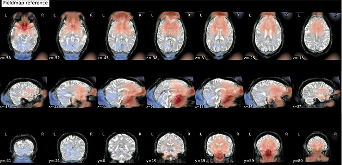 Screenshot 2026-01-19 at 11.36.39