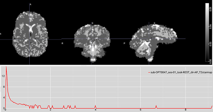 tedana_26.0.1_t2star