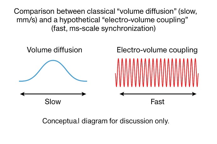 file_00000000d204620db1964558f2c26110