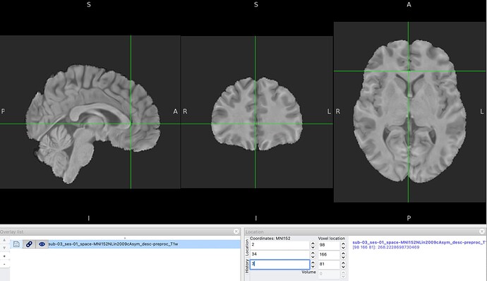Capture d’écran 2025-11-13 à 14.22.58