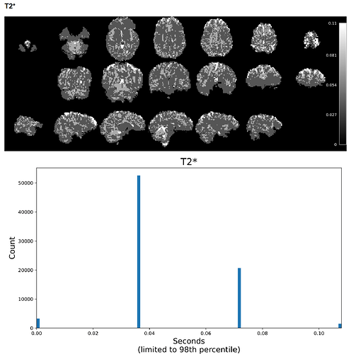 tedana_26.0.1_example_A_html_report_t2star_v2