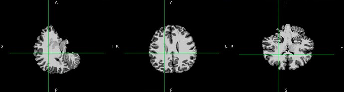 Screenshot 2025-11-21 at 12.19.01