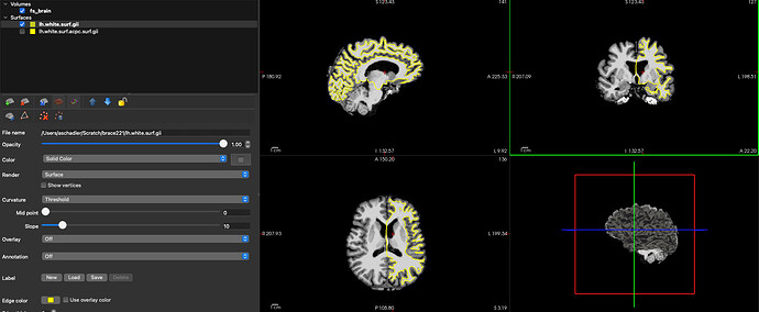 Screenshot 2026-02-12 at 10.38.44 AM