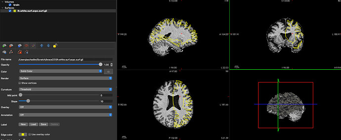 Screenshot 2026-02-11 at 9.42.51 PM