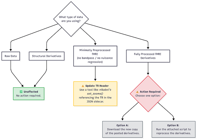 fMRI Data Processing-2026-05-23-001419