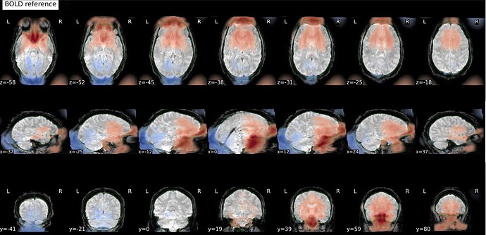 Screenshot 2026-01-19 at 11.37.01