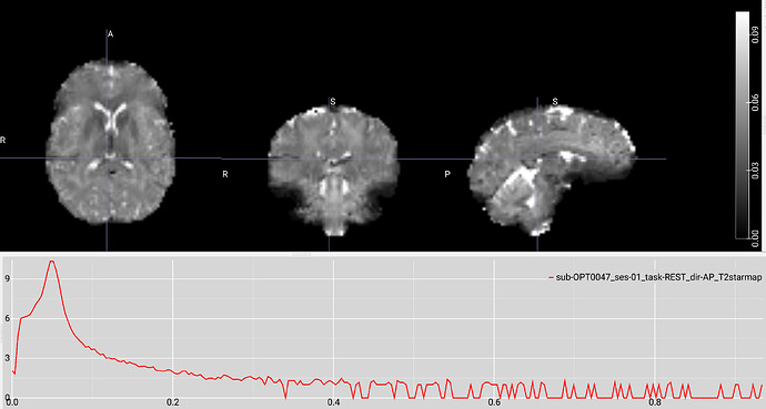 tedana_24.0.1_t2star