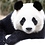 mrrichardchou