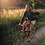 Sophie_Laturnus